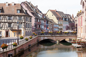 Lutte contre les nuisibles Colmar